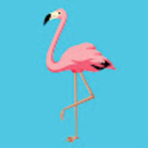 Meet your Posher, Brandi